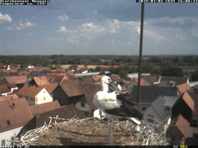 Camera Live Image