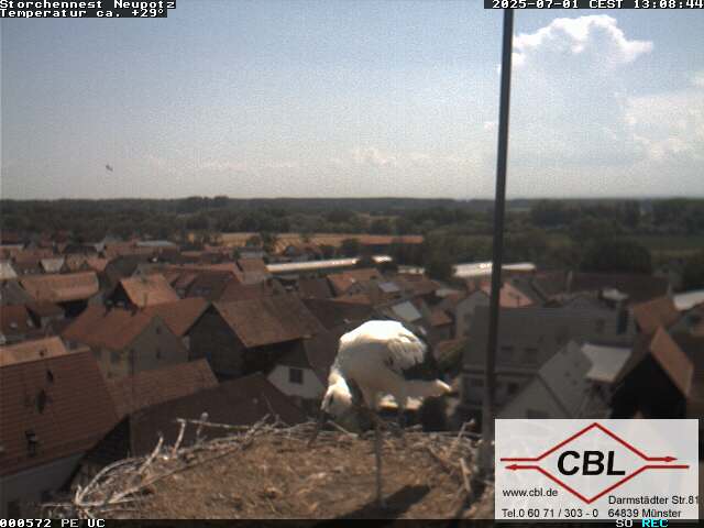 Camera Live Image