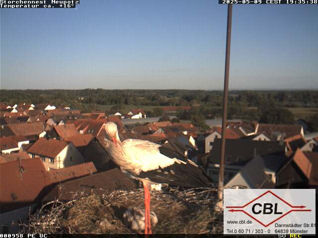 Camera Live Image
