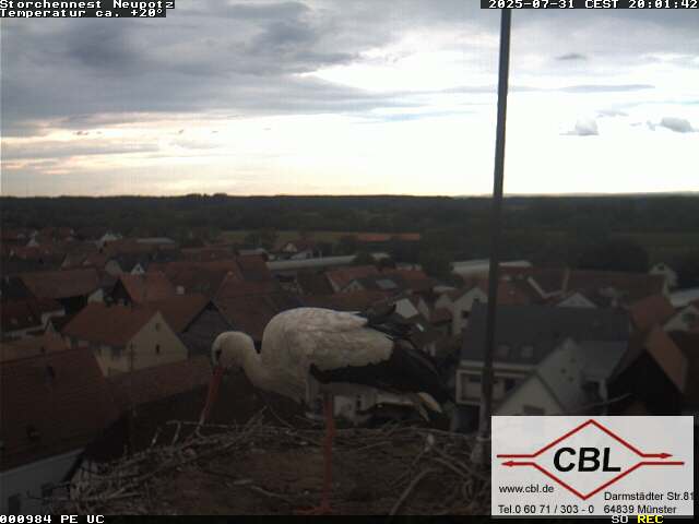 Camera Live Image