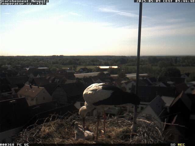 Camera Live Image