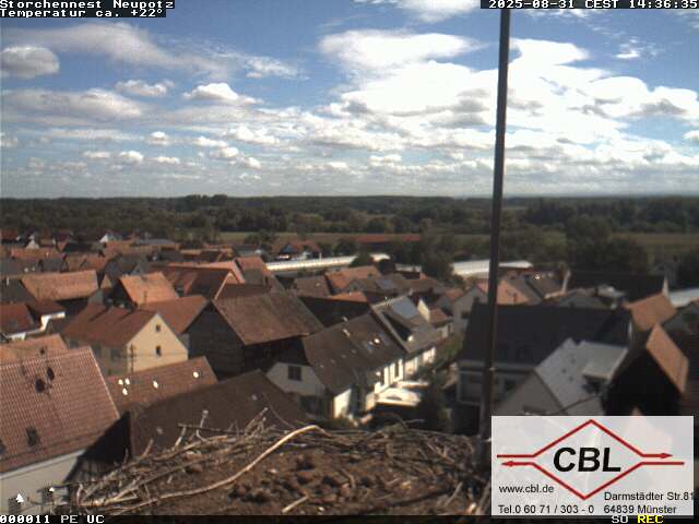Camera Live Image