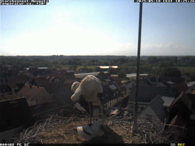 Camera Live Image