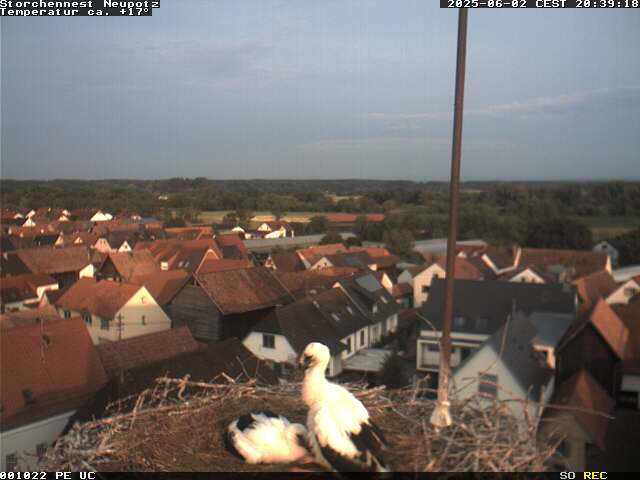 Camera Live Image