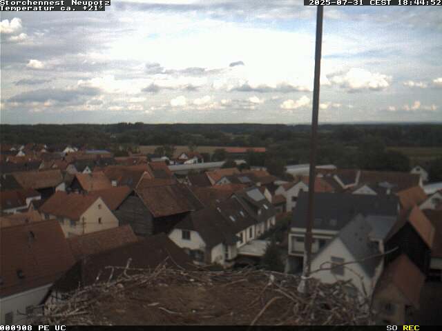 Camera Live Image